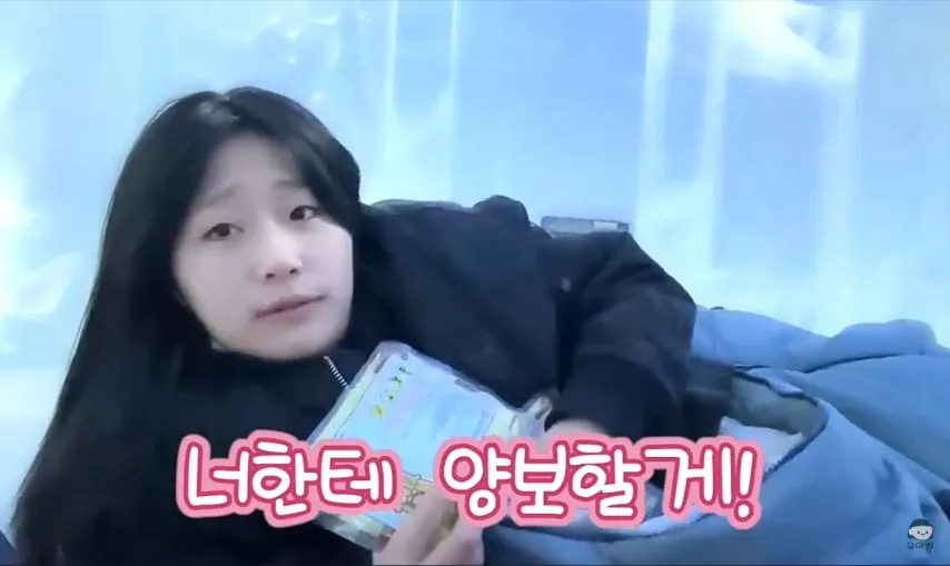 1박 200만원 스웨덴 아이스 호텔