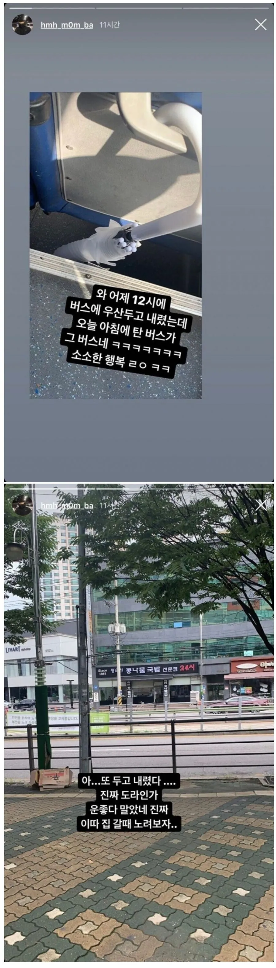 어젯밤 버스에 우산 두고 내렸는데 오늘 아침 똑같은 버스 타서 되찾음