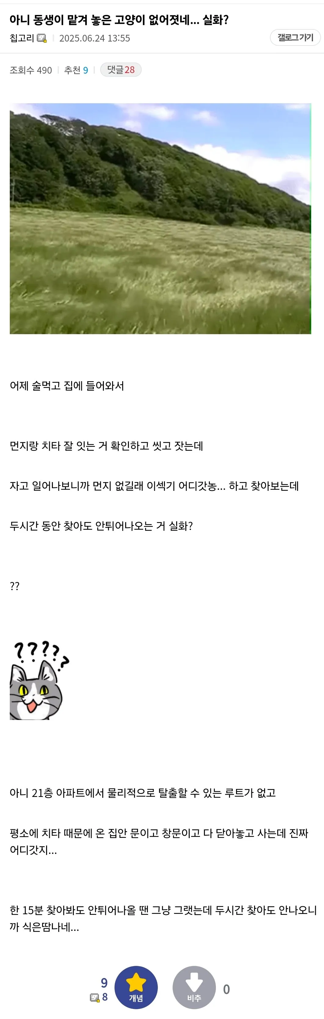 동생이 맡겨놓은 고양이를 잃어버린 디시인
