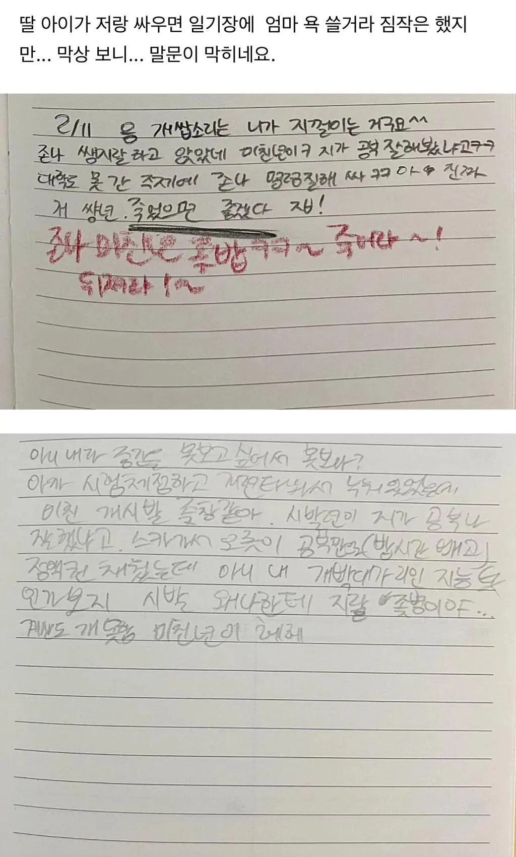 딸 일기장을 보고 충격받은 엄마.jpg