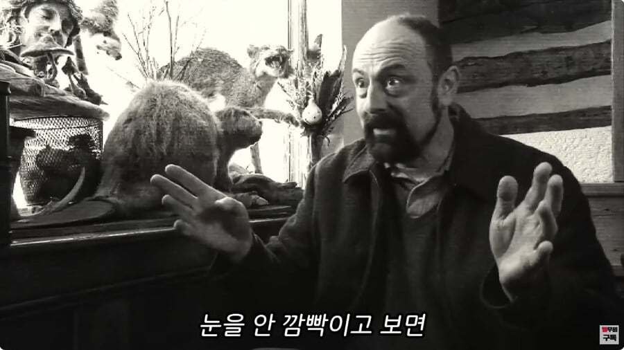 보면 반드시 죽는다는 귀신