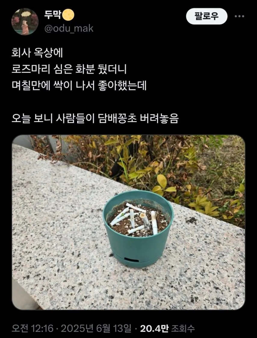 회사 옥상에 화분 뒀더니 생긴 일 .jpg