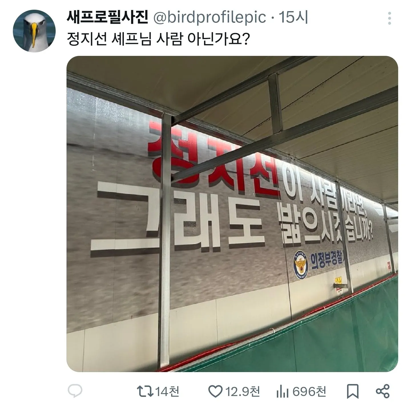 정지선이 사람이라면 그래도 밟으시겠습니까?