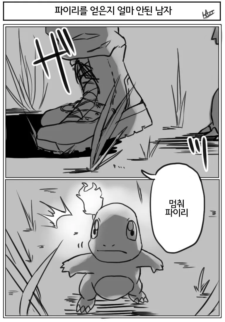 파이리를 잘 모르는 트레이너 대참사