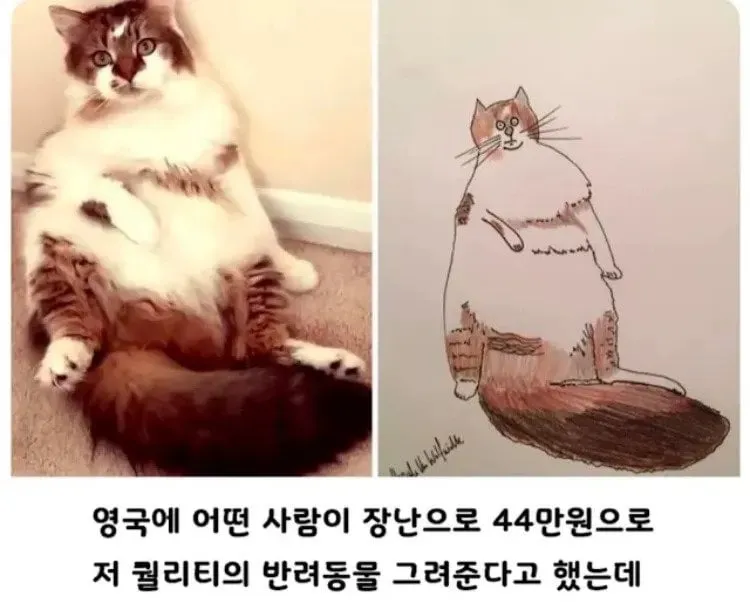 커미션 받아요 단돈 44만원