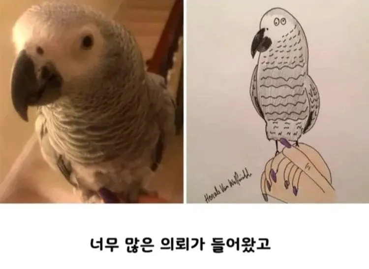 커미션 받아요 단돈 44만원