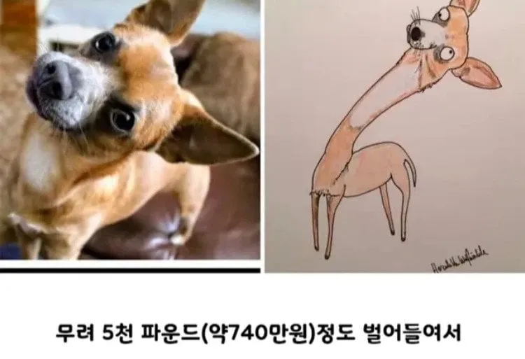 커미션 받아요 단돈 44만원