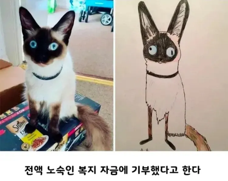 커미션 받아요 단돈 44만원