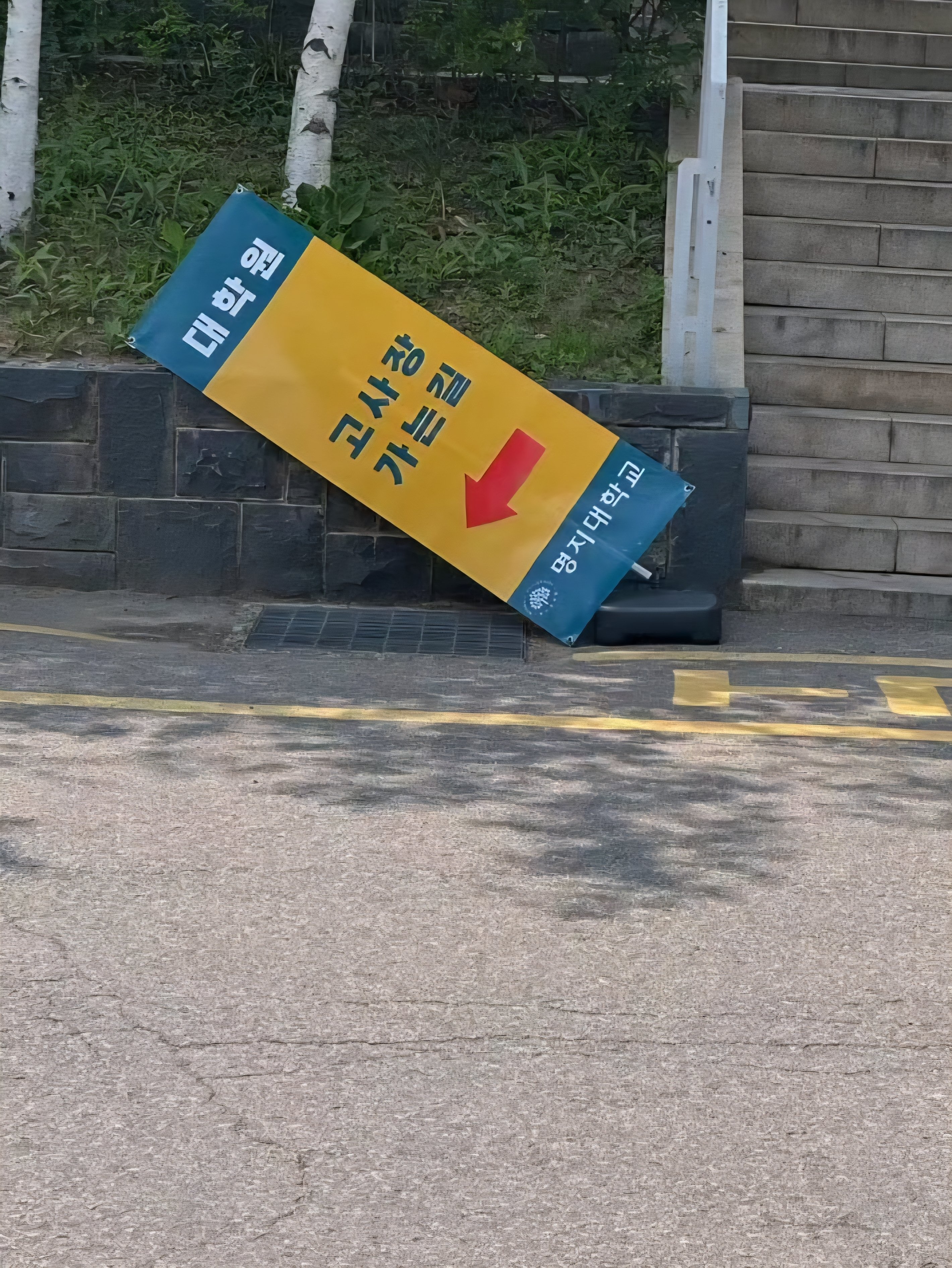 대학원생 모집중~