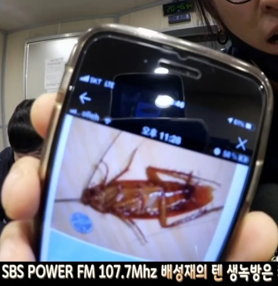 코요태 빽가가 미국에서 본 바퀴벌레 크기.jpg