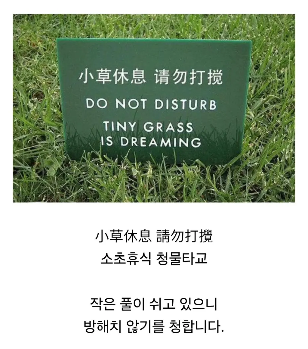 대륙의 잔디보호 문구.jpg