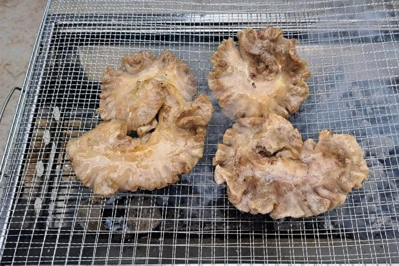 실제로 정육업 하는 사람들도 돈 주고 버린다는 부위.jpg