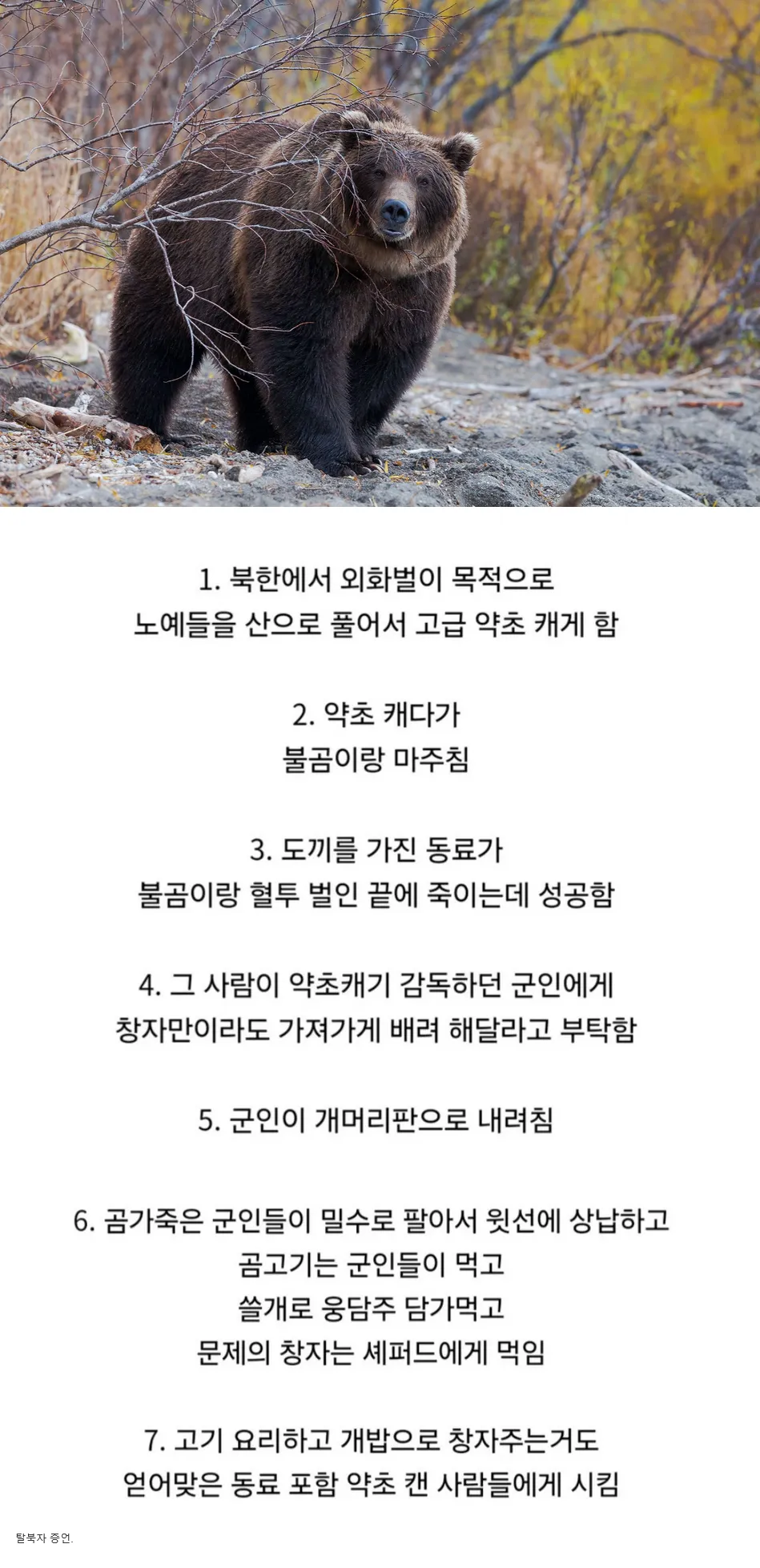북한에서 불곰을 죽인 결과
