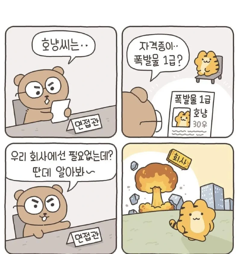 자격증의 중요성