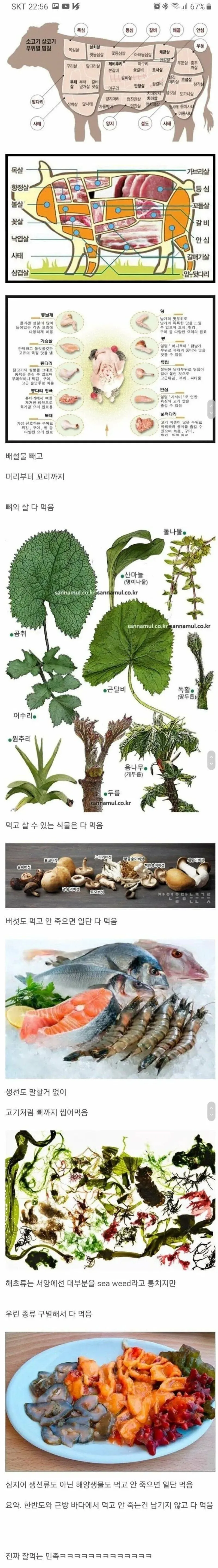 우린 참 잘먹어