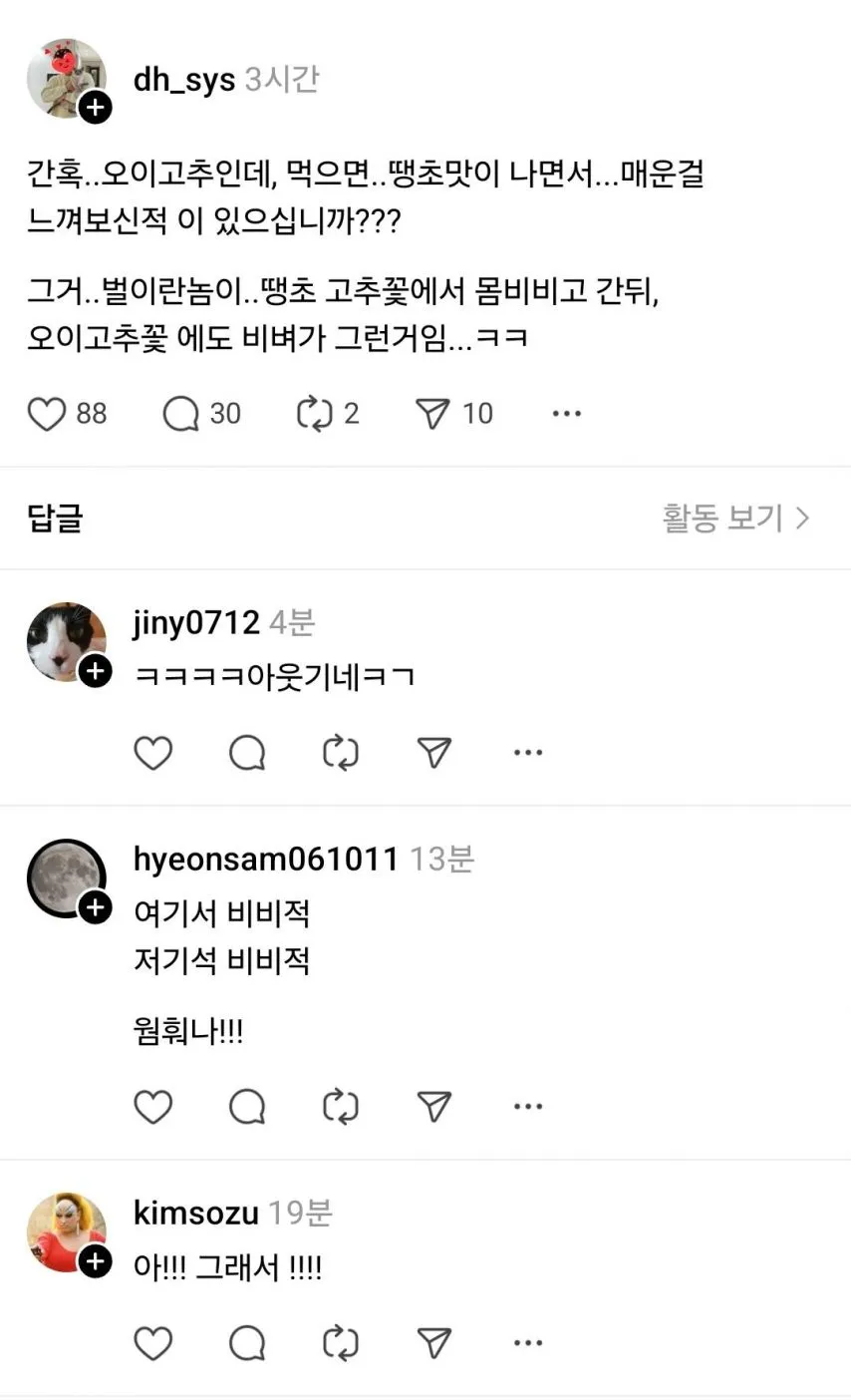 간혹 오이고추인데 땡초맛이 나면서 매운 맛이 나는 이유