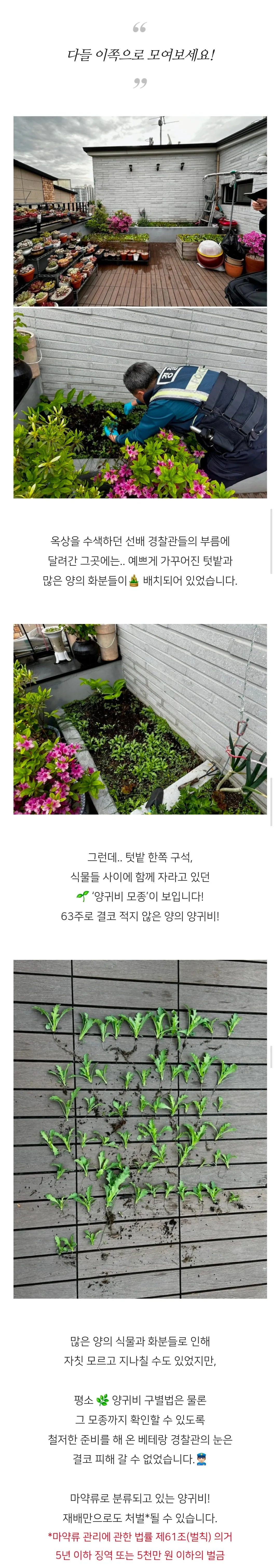집에서 보라색 조명 쓴다는 제보에 출동한 경찰