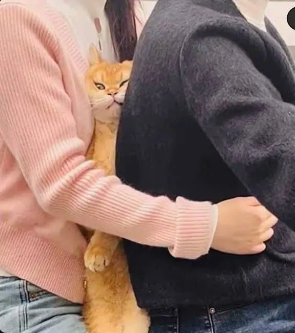 너무 붙는거 아니냥