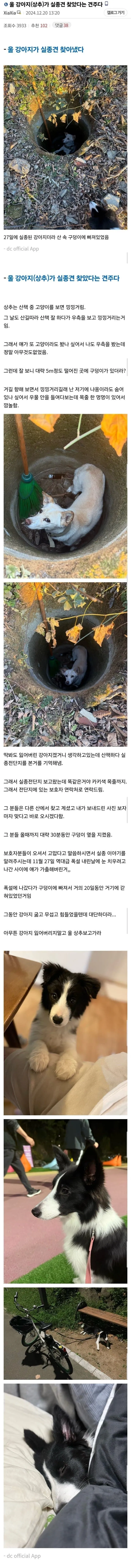 강아지가 실종견 찾음