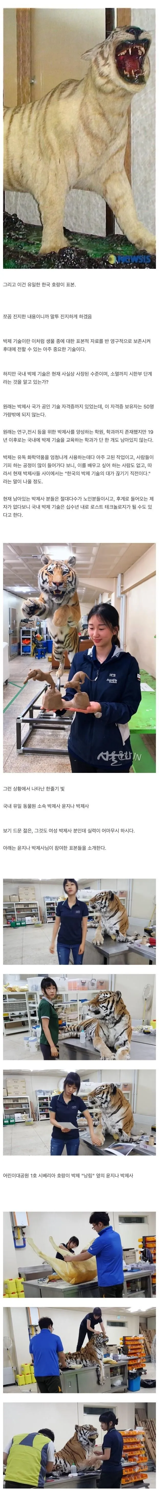 국내에서 소멸되어 간다는 박제 기술.