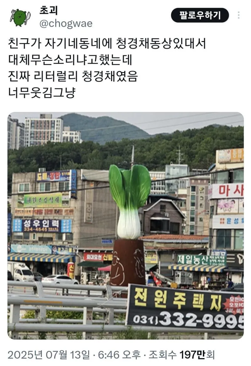 친구가 자기 동네에 청경채 동상 있대서 무슨 소리냐고 했는데
