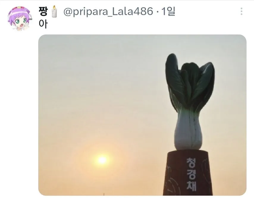 친구가 자기 동네에 청경채 동상 있대서 무슨 소리냐고 했는데