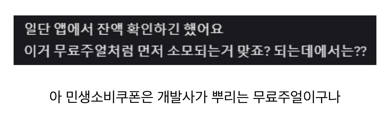 민생 소비쿠폰을 이해한 오타쿠