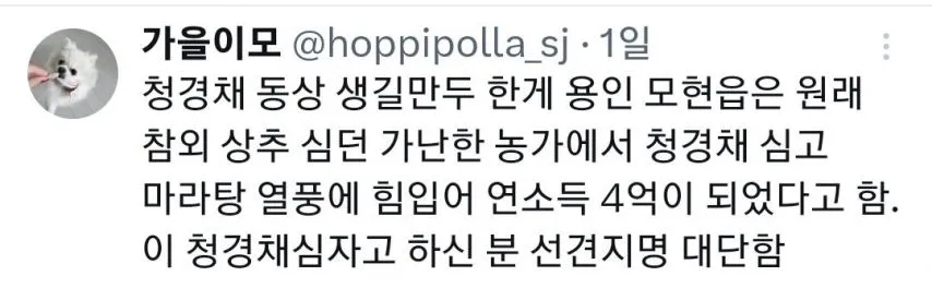 친구가 자기 동네에 청경채 동상 있대서 무슨 소리냐고 했는데