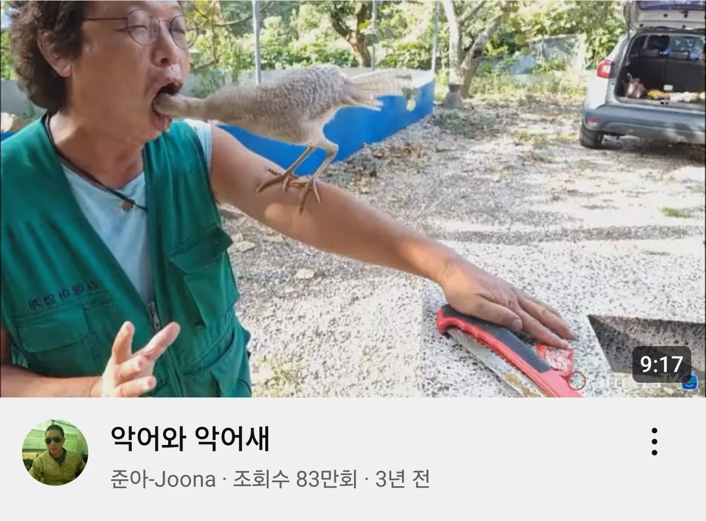 어그로 좆되는 썸네일