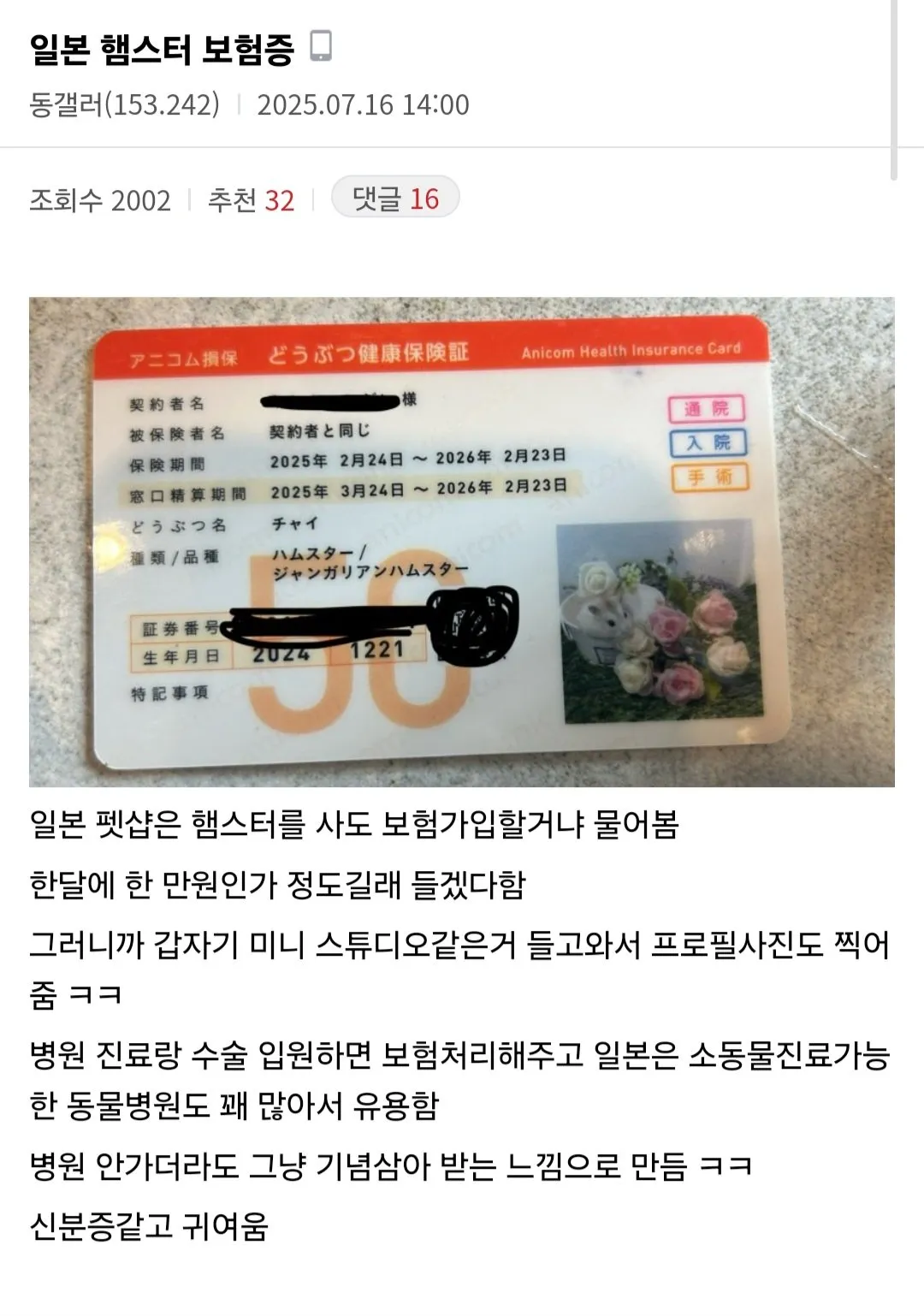 일본 햄스터 보험증