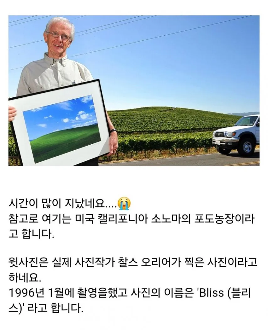 윈도우 XP 배경화면 약 30년이 지난 현재.jpg