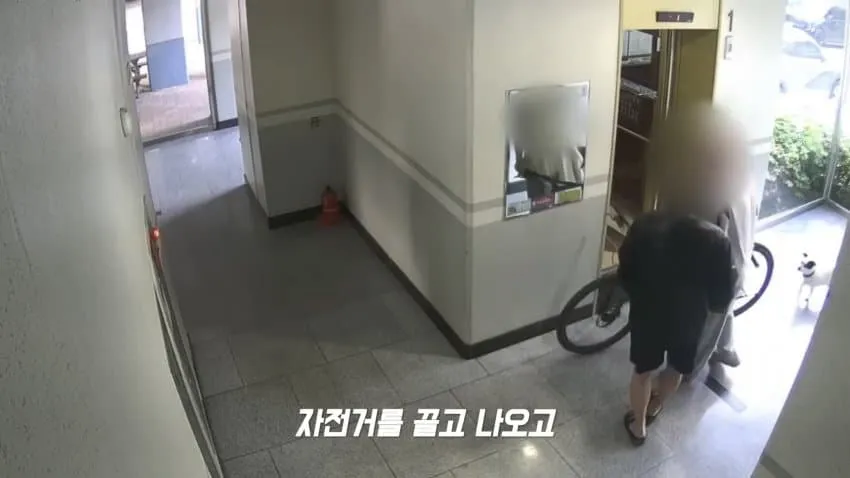 자전거 절도범 검거