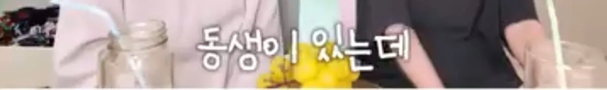 애엄마한테 둘째는 없냐고 자꾸 물어보는 어린이집 선생님.jpg