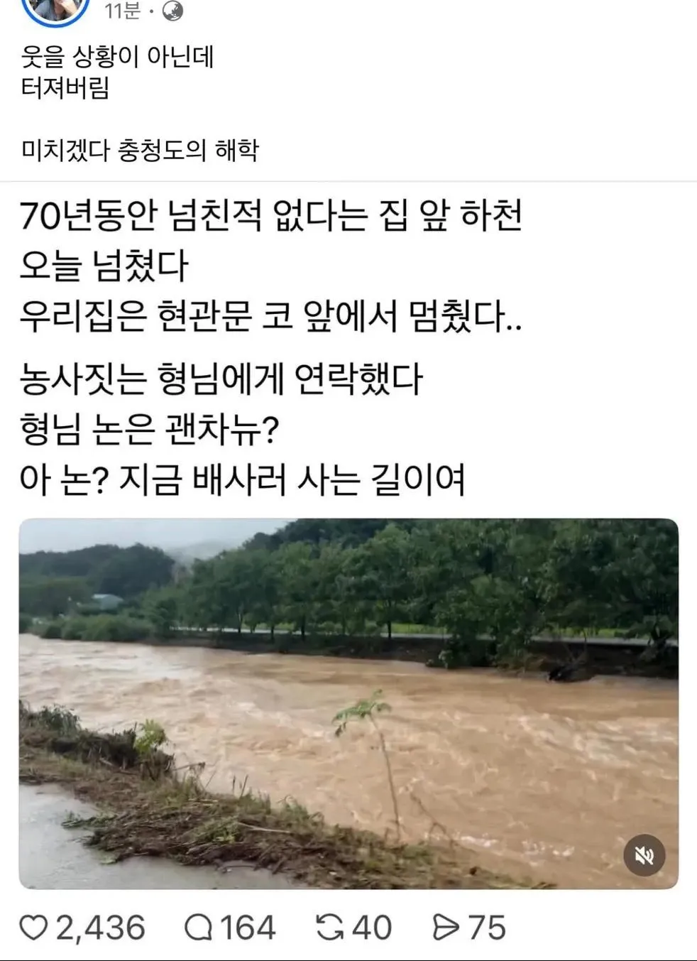 물난리에도 해학이 넘치는 충청도인