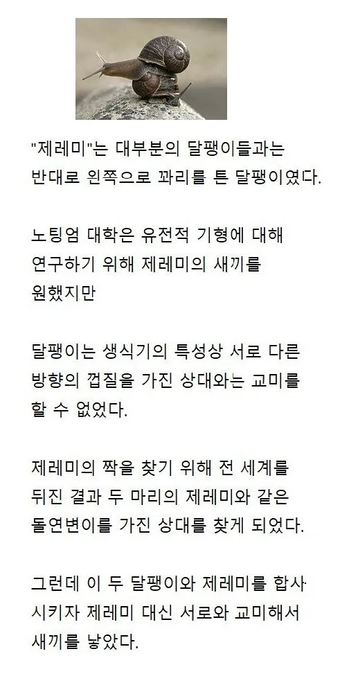 교미 한 번 하려고 전세계를 다 뒤진 결과