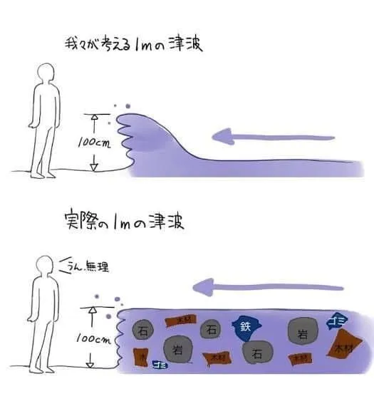 쓰나미가 위험한 이유 한짤요약