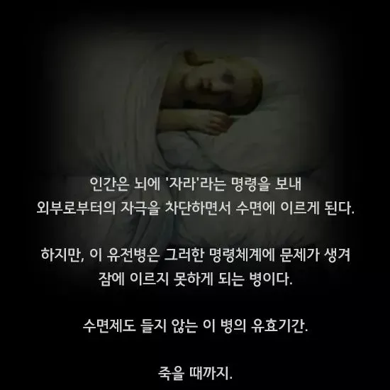 한번 발병하면 죽을때까지 잠을 잘 수 없는 병