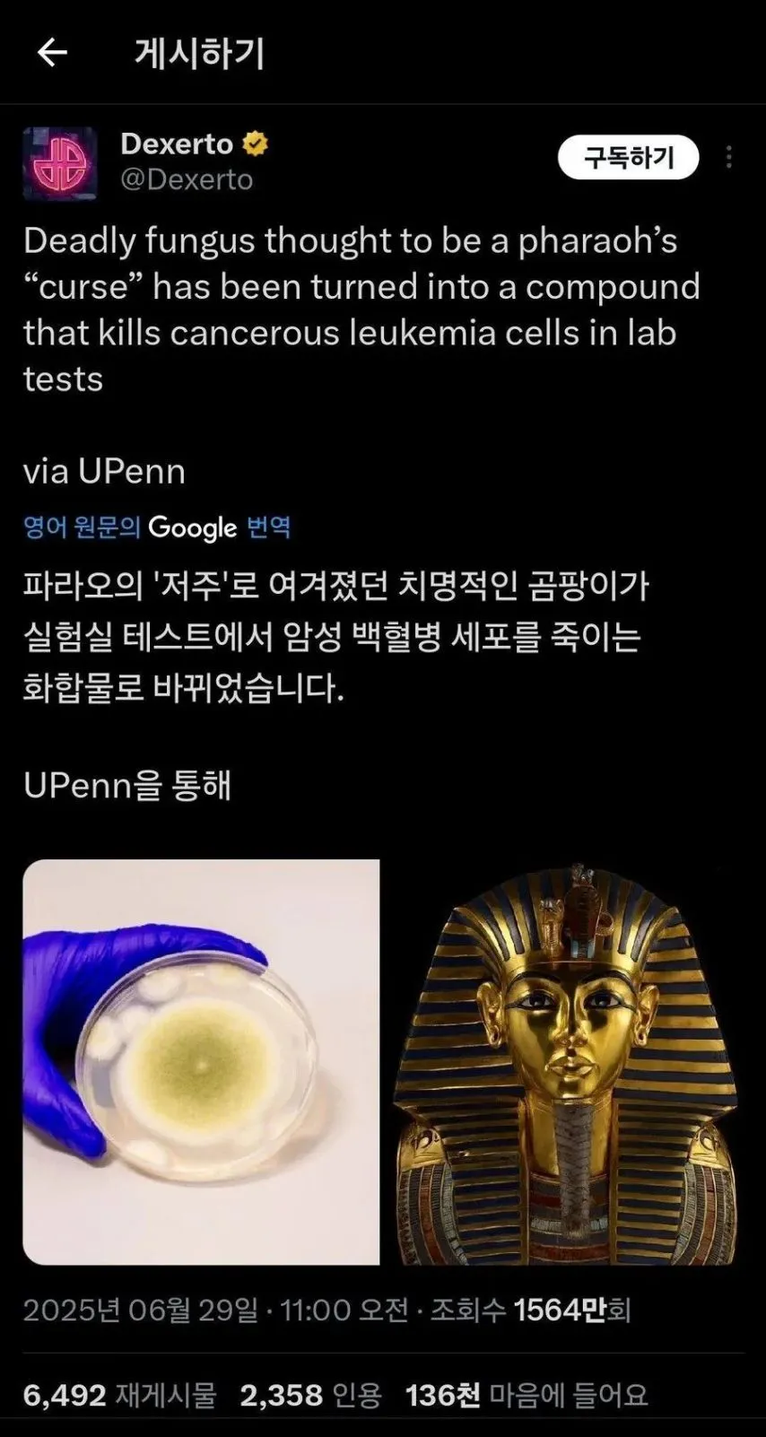 이집트 파라오 근황.jpg