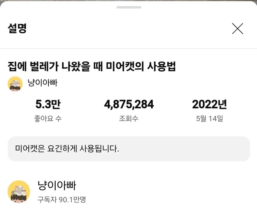 거미를 죽였다고 욕먹은 미어캣 유튜버.jpg