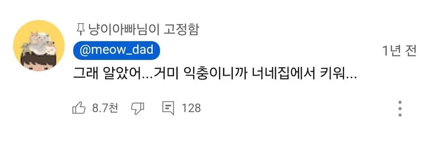 거미를 죽였다고 욕먹은 미어캣 유튜버.jpg