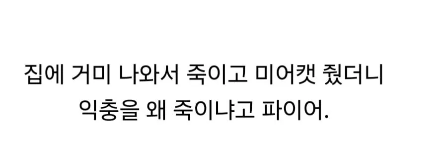 거미를 죽였다고 욕먹은 미어캣 유튜버.jpg