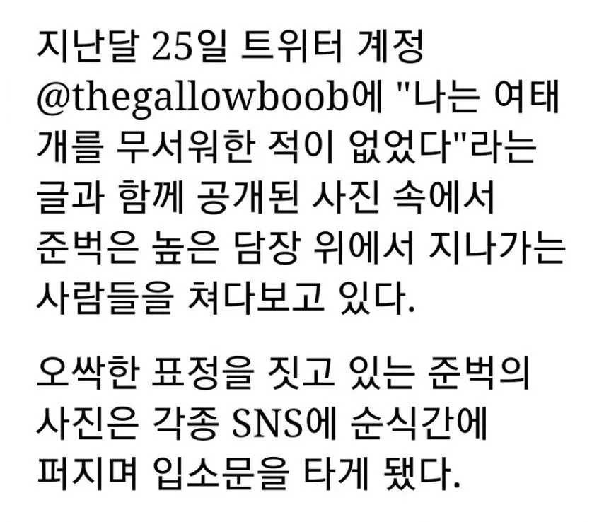 빌런 처럼 생겨서 유명해진 댕댕이