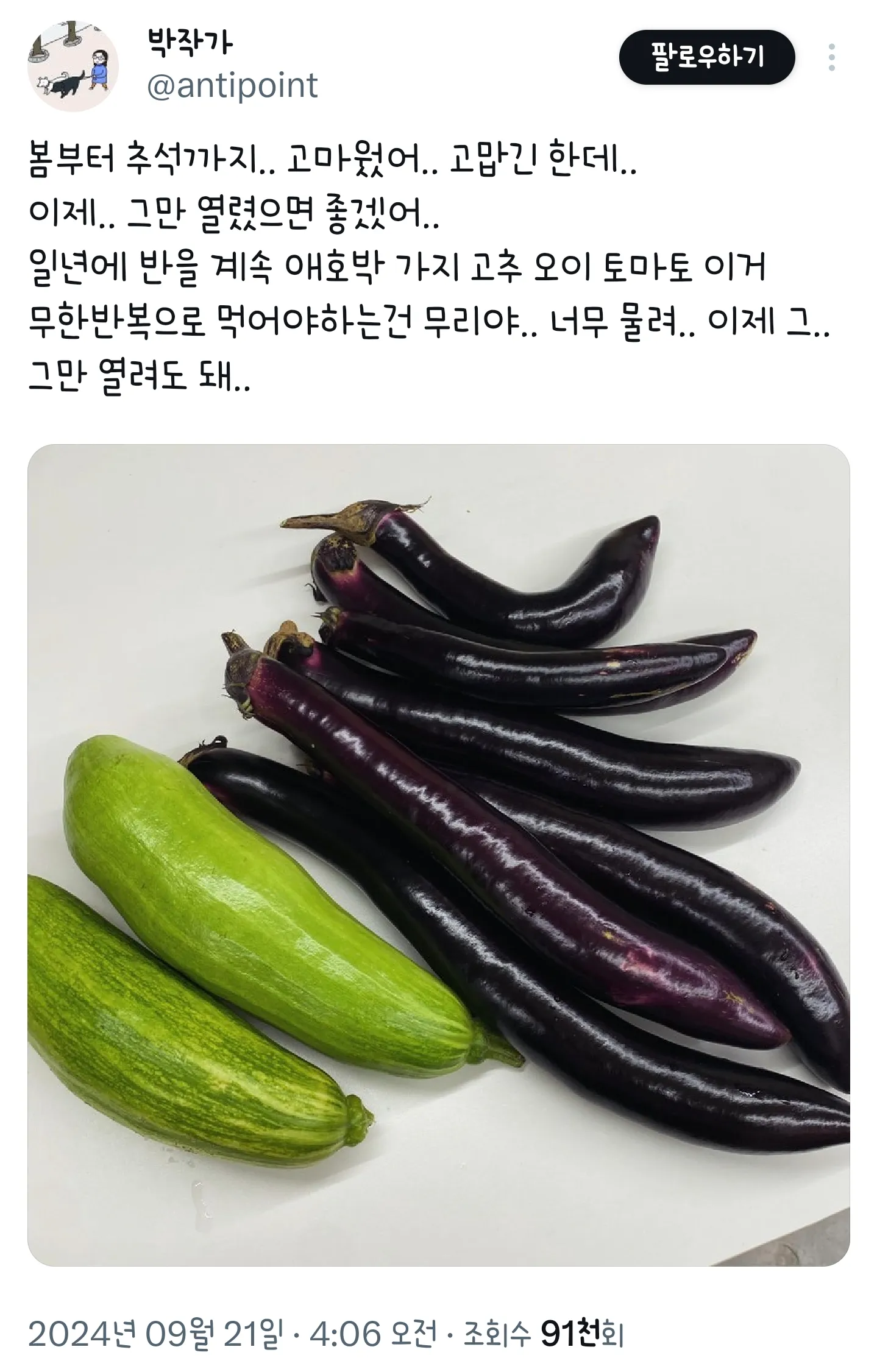 텃밭 또는 주말 농장 해본 사람만 아는 고통