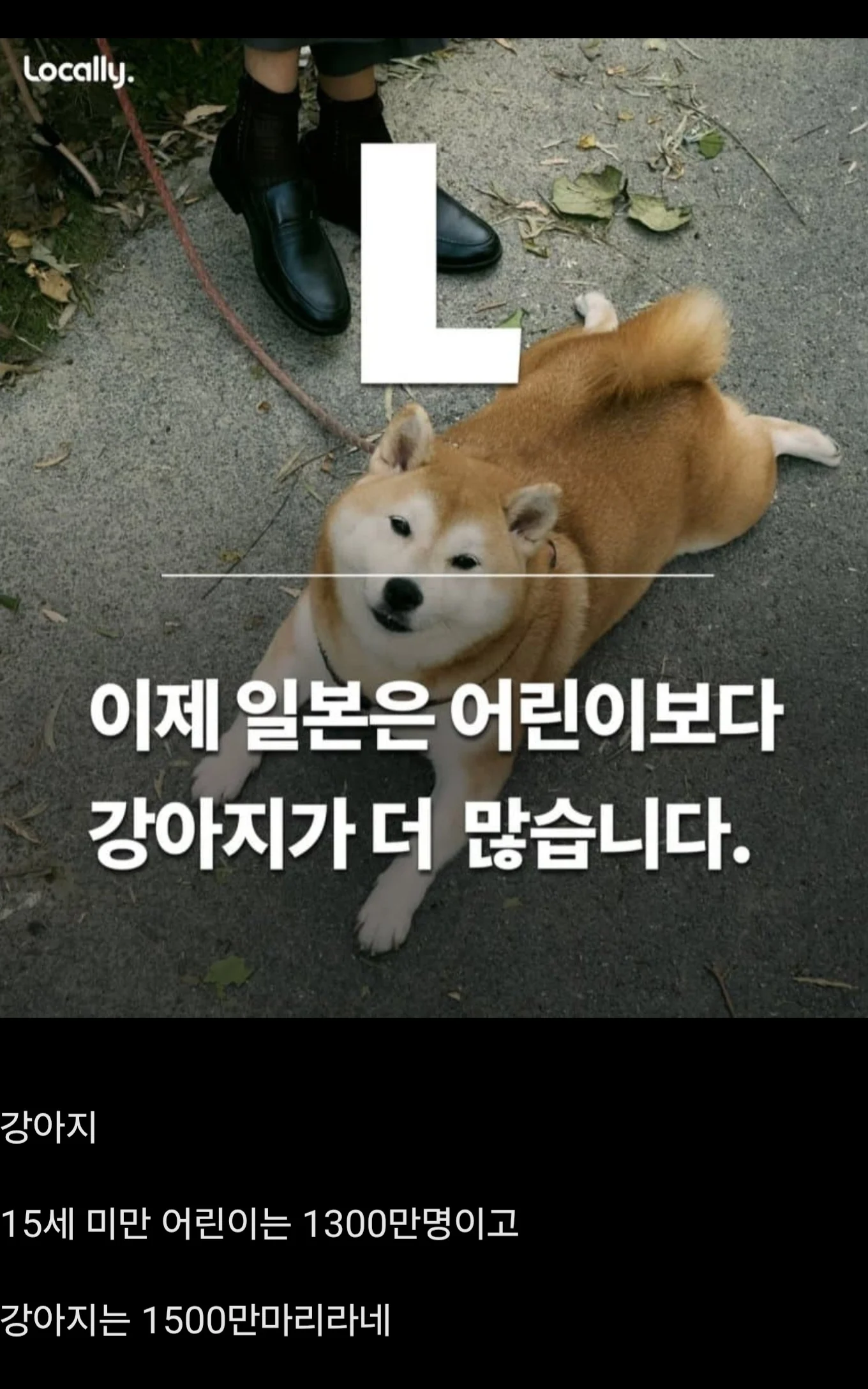 일본에서 어린이보다 더 많아진 것