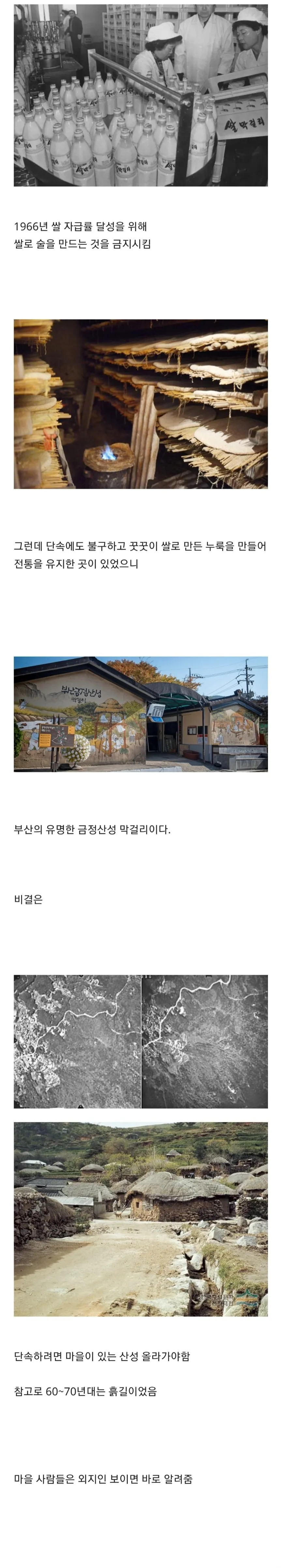 쌀 막걸리가 불법이던 시절 양조장의 생존법
