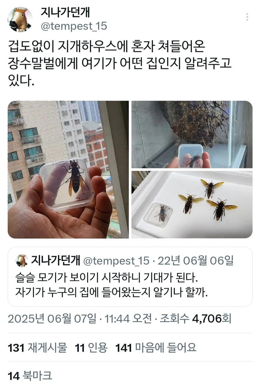 지나가다 들렀는데 알고보니 연쇄살인마 집임