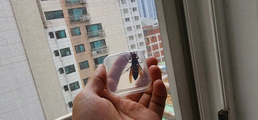 지나가다 들렀는데 알고보니 연쇄살인마 집임