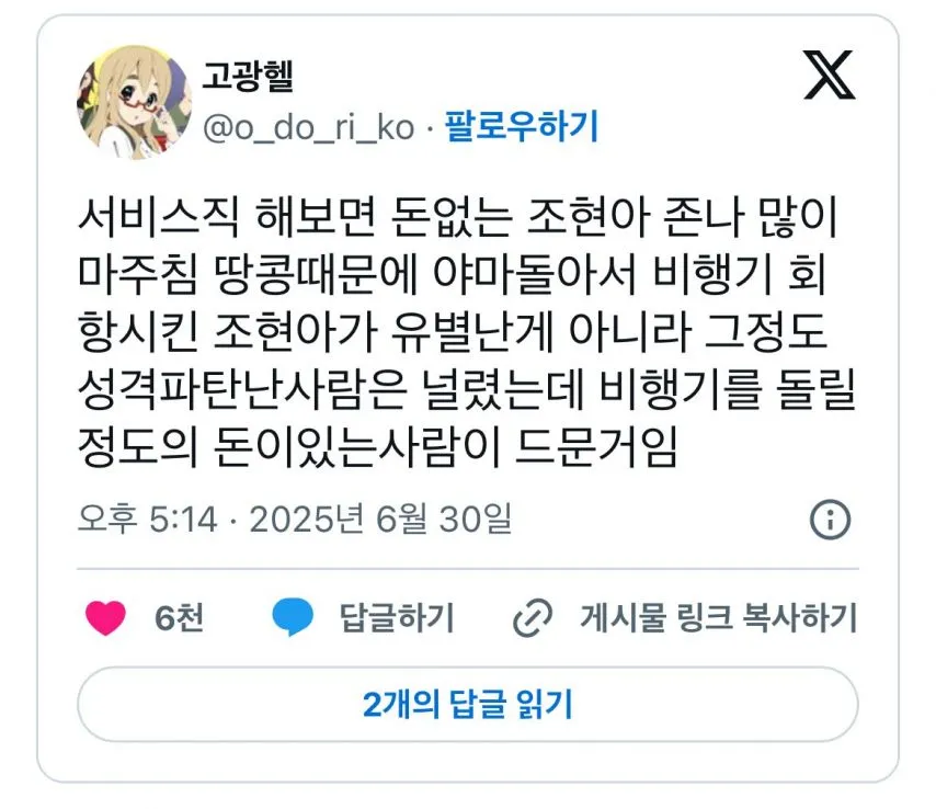 서비스직 해보면 돈없는 조현아 많이  마주침.jpg