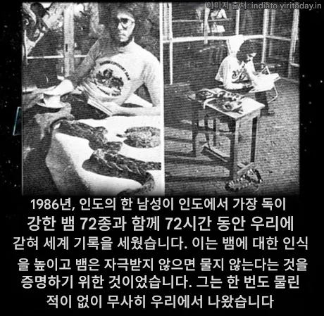 뱀에 대한 인식 제고를 위한 도전...