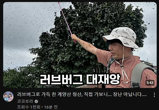 요즘 유튜버들이 찾아가는 핫플레이스.jpg